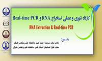 کارگاه تئوری و عملی استخراج RNA و Real-time PCR